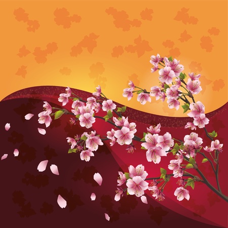 Sakura blossom - Japanese cherry tree on bright colorful background, vectorのイラスト素材