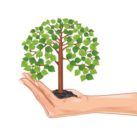 Hand holding a green tree, isolated on white background, element eco design のイラスト素材