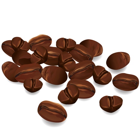 Coffee beans realistic isolated on white background, vectorのイラスト素材