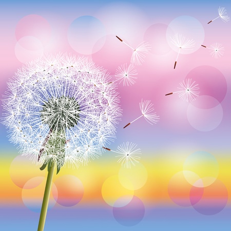 Flower dandelion on background of sunset, vector illustration. Spring nature background. Place for textのイラスト素材