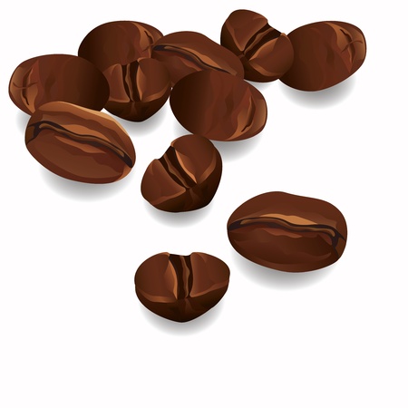 Coffee beans realistic isolated on white background, vectorのイラスト素材