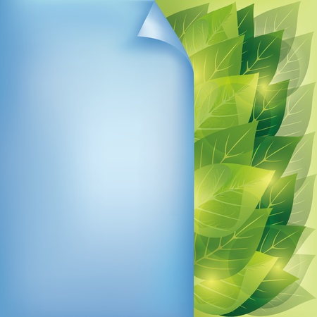 Eco background with fresh green leaves and blue paper - place for text, vector illustrationのイラスト素材