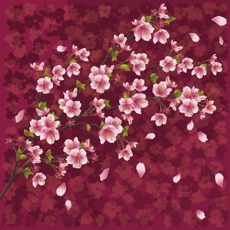 Oriental ornamental background with sakura blossom - Japanese cherry tree  with pattern, vector illustrationのイラスト素材