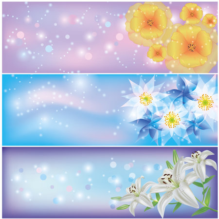 Set of horizontal glowing floral banners with California poppy, lily and exotic flowers  Greeting or invitation card  Vector illustrationのイラスト素材
