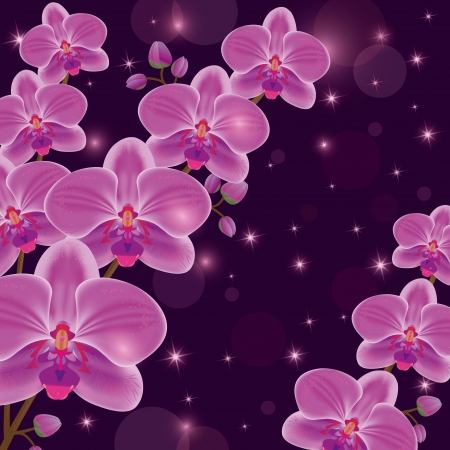 Greeting or invitation card with exotic flowers purple orchids, dark luxury floral background, decorated stars and circle. のイラスト素材