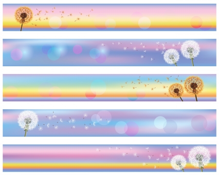 Set of horizontal floral banners with flower dandelion dandelion on background of sunset, vector illustration. Place for textのイラスト素材