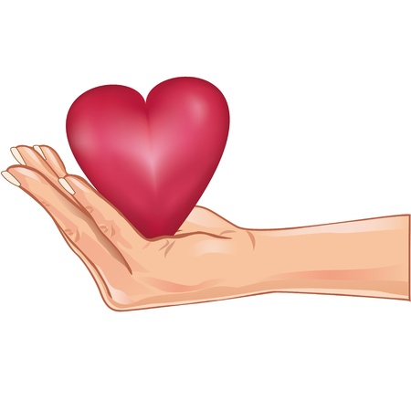 Hand holding a red heart, isolated on white background. のイラスト素材
