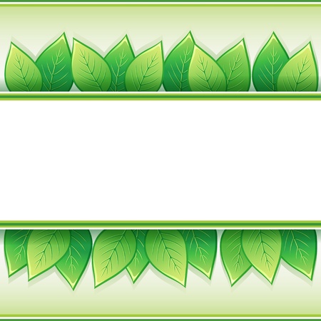 Eco background with fresh green leaves and white paper - place for text,  illustrationのイラスト素材