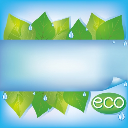 Eco blue background with fresh green leaves, water drops and paper - place for text, vector illustrationのイラスト素材
