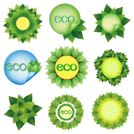 Set of fresh green leaves, Eco design decorative elements, isolated on white background elements for design のイラスト素材