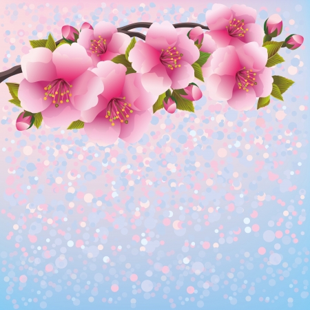 Purple background with sakura blossom - Japanese cherry tree, greeting or invitation card  Floral background, Japanese style  Vector illustrationのイラスト素材