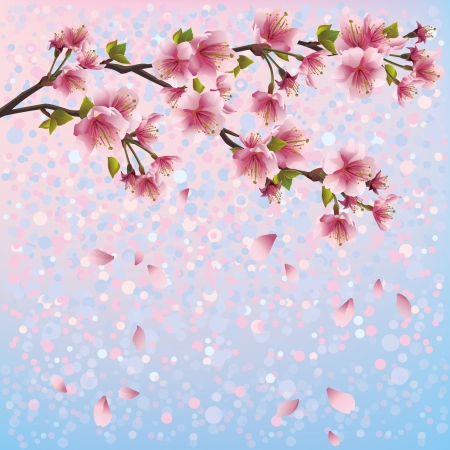 Colorful spring background with sakura blossom のイラスト素材