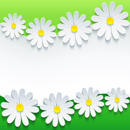 Stylish floral background, 3d flower chamomiles   のイラスト素材