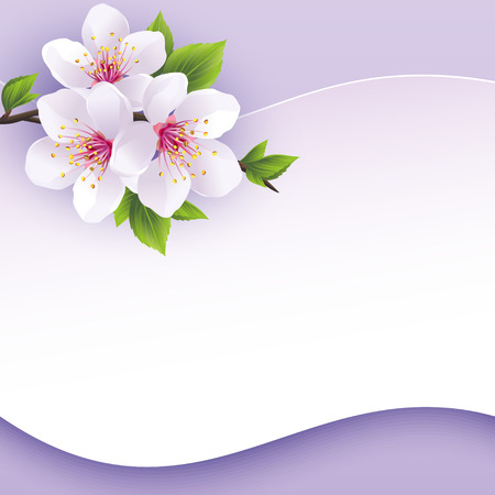 Greeting or invitation card with branch of sakura  Beautiful abstract background purple with place for text  Stylish vector wallpaper  Vector illustrationのイラスト素材