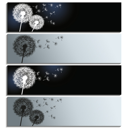 Set of horizontal banners with black and white dandelions isolated on white background  Beautiful stylish trendy wallpaper  Vector illustrationのイラスト素材