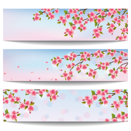 Set of stylish horizontal banners with blossoming pink sakura- japanese cherry isolated on white background  Beautiful floral wallpaper  Vector illustrationのイラスト素材