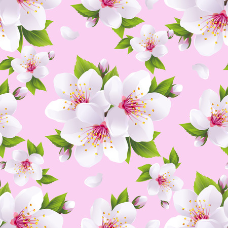Beautiful light background seamless pattern with white sakura blossom - japanese cherry tree. Floral spring pink wallpaper. Vector illustrationのイラスト素材
