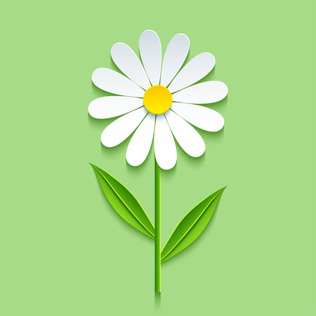 Beautiful trendy nature background with 3d chamomile cutting paper. Stylized summer flowers isolated over green. Stylish floral wallpaper. Floral design elements. Vector illustrationのイラスト素材