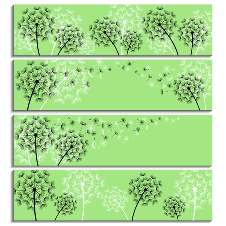 Set of horizontal green banners with black and white stylized dandelions and flying fluff. Modern floral background with summer or spring flowers. Stylish trendy wallpaper. Vector illustrationのイラスト素材