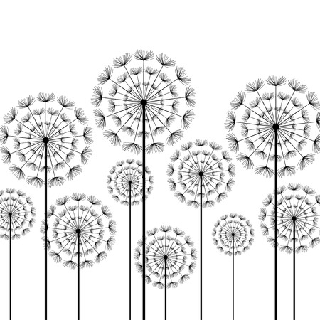 Black stylized dandelions isolated on white background. Floral stylish trendy wallpaper with summer or spring flowers. Modern backdrop. Beauty of nature. Vector illustrationのイラスト素材