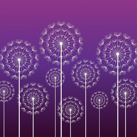Dark purple ornamental background with stylized white dandelions. Floral stylish trendy wallpaper with summer or spring flowers. Modern backdrop. Beauty of nature. Vector illustrationのイラスト素材