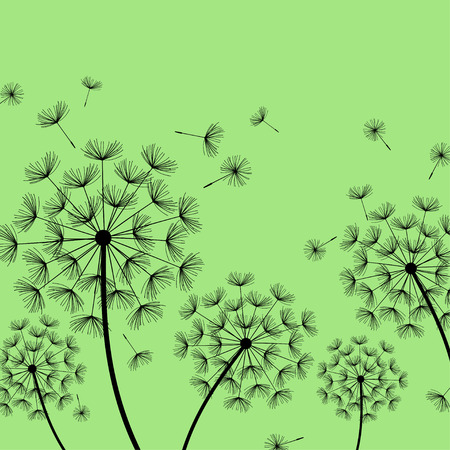 Beautiful nature green background with black dandelions and flying fluff. Floral stylish trendy wallpaper with summer or spring flowers. Modern backdrop. Vector illustrationのイラスト素材