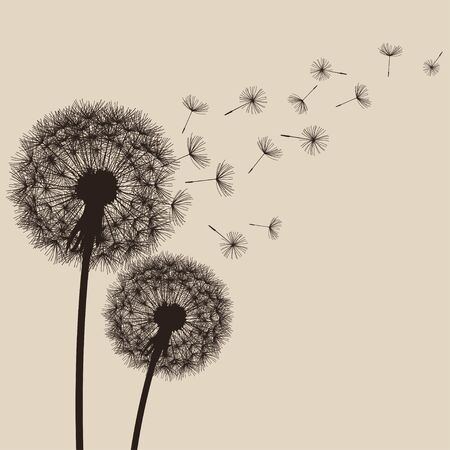 Two black dandelions silhouette with flying fluff.のイラスト素材