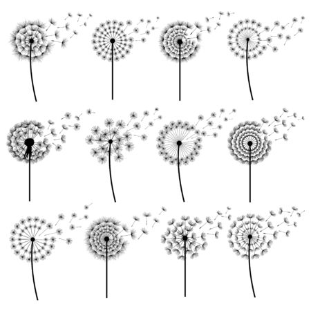 Set of black dandelions blowing isolated on white background.のイラスト素材