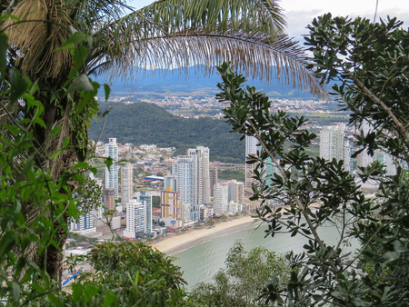 View of city by the sea with buildings in the background and with trees in the foreground on sunny dayの写真素材