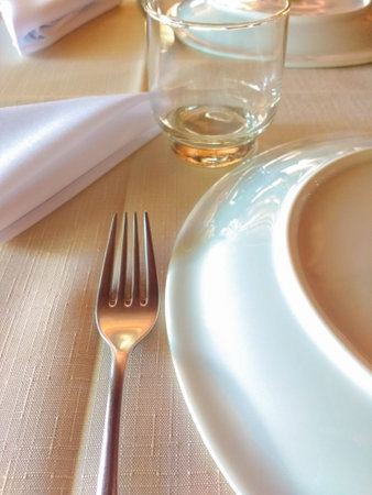 Linen tablecloth, ready to serve dinner with fork, glass, plate and napkin, under soft light in...