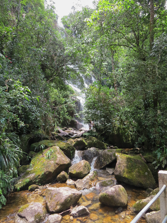 January 7, 2016, Itatiaia, Rio de Janeiro, Brazil, rapids in the middle of the forest in the Itatiaia National Park, on a sunny day.のeditorial素材