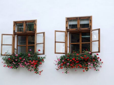 two windows with flowersの写真素材