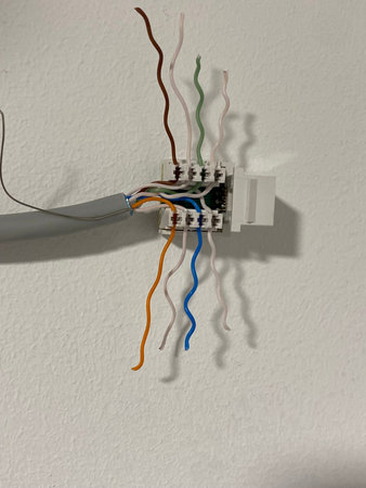 UTP data cable prepared for connector insert close-up view