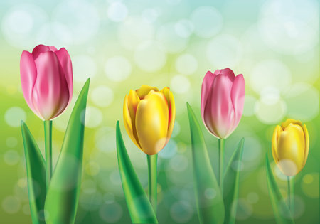 Vector illustration of spring background with pink and yellow tulipsのイラスト素材