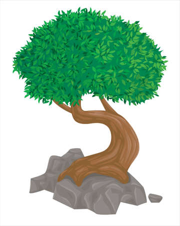 Tree with green leaves. Realistic tree isolated on white backgroundのイラスト素材