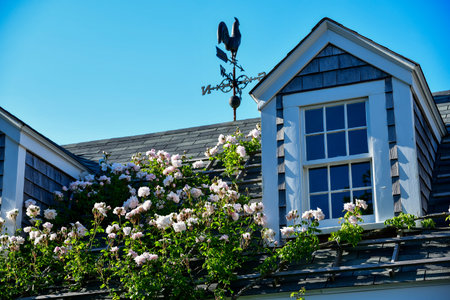 Flowers under the window of a house and a rooster wind vane on the rooftop