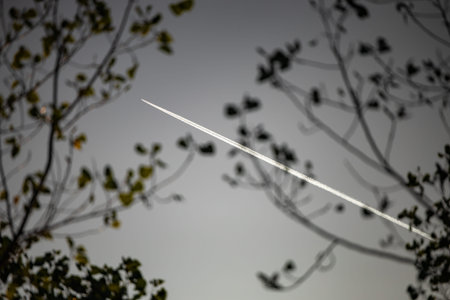 A jet plane in the sky taken between tree branches. White contrail left in the air.