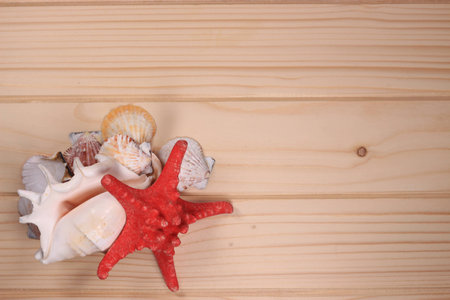 Seashells and starfish on a wooden backgroundの写真素材