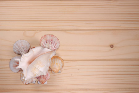 Seashells and starfish on a wooden background