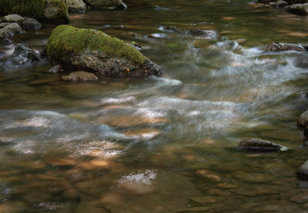 River in motionの写真素材