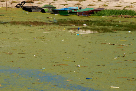 Pollution of river