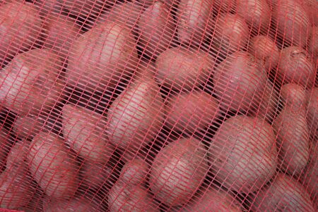 Pile of potatoes at farm or marketの写真素材