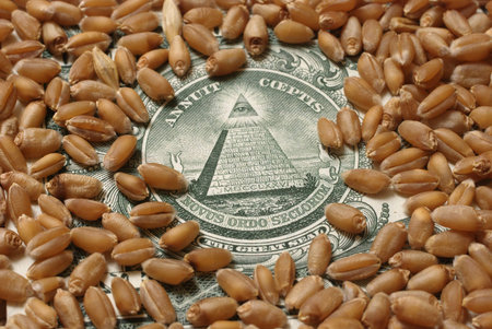 Heap of wheat and money in close upの写真素材