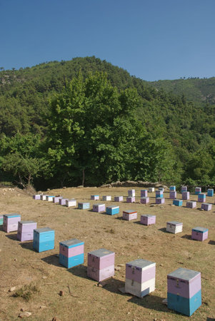 Colorful hives in mountain area of island Thassos Greece 