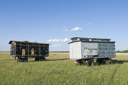 Hives at truck trailer in green fieldの写真素材