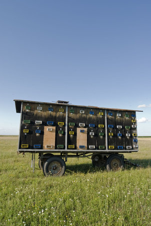 Hives at truck trailer in green field