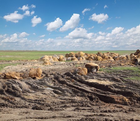 Rural area scene, heap of straw  and mudの写真素材