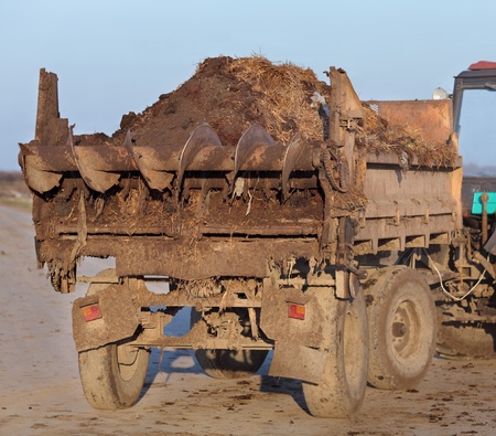 Fertilizer, cow dung at tractor trail with augerの写真素材