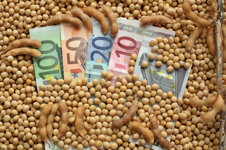 Agricultural concept, heap of soy beans and Euro banknotesの写真素材