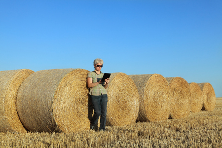 Female farmer in wheat field after harvest examining bale, rolled straw, using tabletの写真素材
